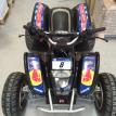 adesivi per quad