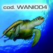 wani004.jpg