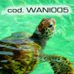 wani005.jpg