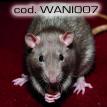 wani007.jpg