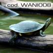 wani008.jpg