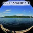 wani011.jpg