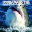 wani014.jpg