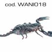 wani018.jpg