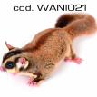 wani021.jpg