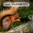 wani022.jpg