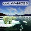 wani023.jpg