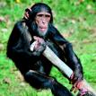 wani024.jpg