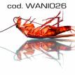 wani026.jpg