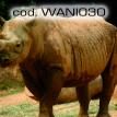 wani030.jpg