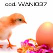 wani037.jpg