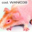 wani038.jpg