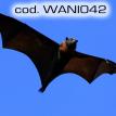 wani042.jpg