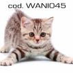 wani045.jpg