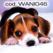 wani046.jpg