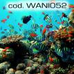 wani052.jpg