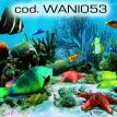 wani053.jpg