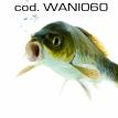 wani060.jpg