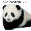 wani070.jpg