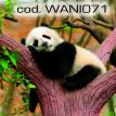wani071.jpg