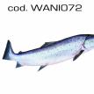 wani072.jpg