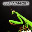 wani091.jpg