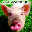 wani092.jpg