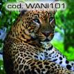 wani101.jpg