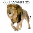 wani105.jpg
