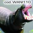 wani110.jpg
