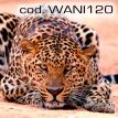 wani120.jpg