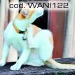 wani122.jpg