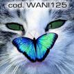 wani125.jpg