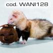 wani128.jpg