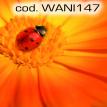 wani147.jpg