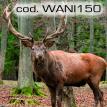 wani150.jpg