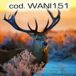 wani151.jpg