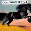 wani154.jpg