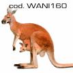 wani160.jpg