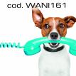 wani161.jpg