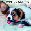 wani163.jpg
