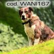 wani167.jpg