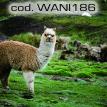 wani186.jpg