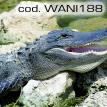 wani188.jpg