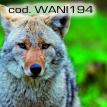 wani194.jpg
