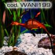 wani199.jpg