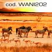 wani202.jpg