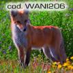 wani206.jpg
