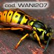 wani207.jpg