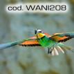 wani208.jpg